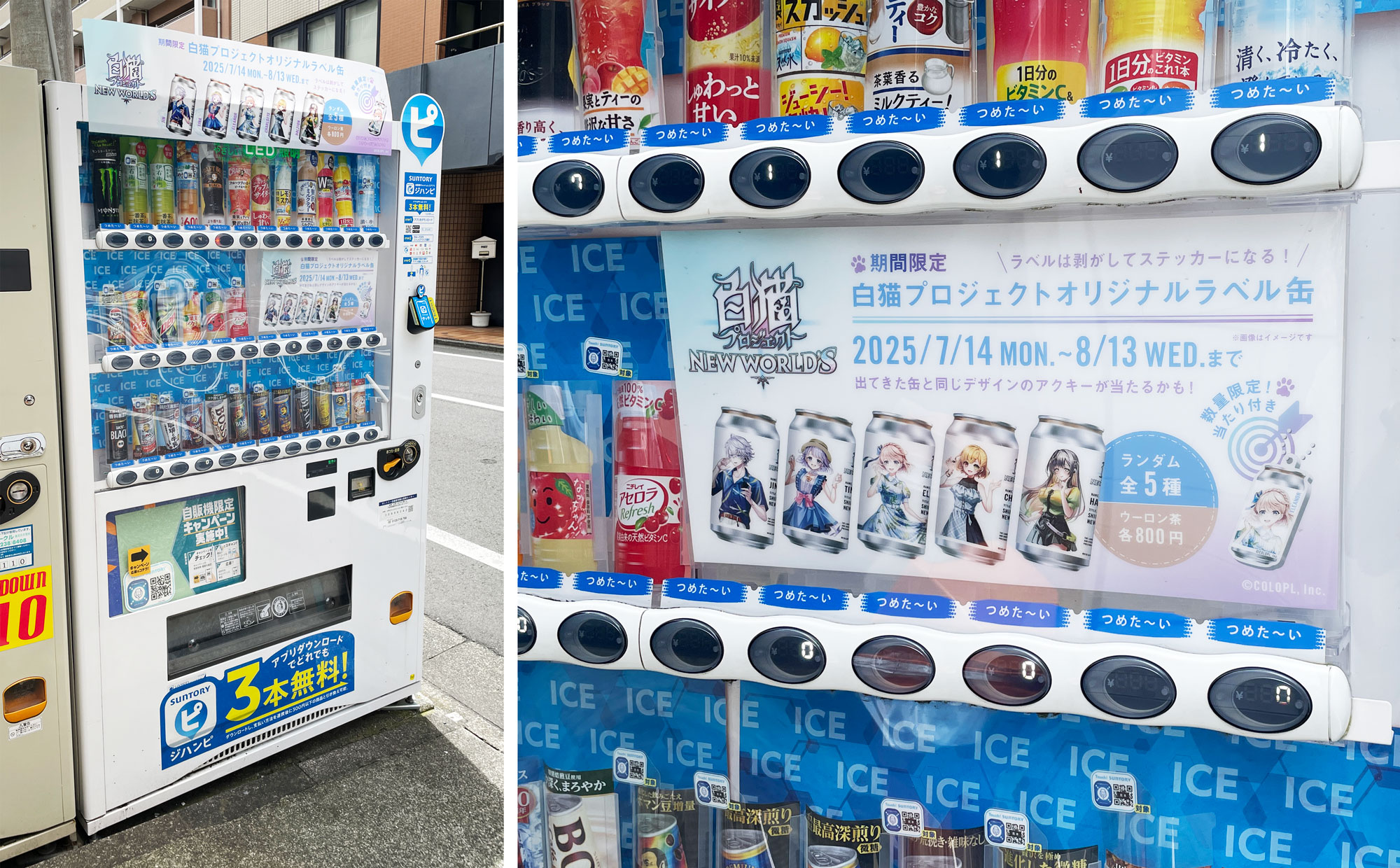 「白猫プロジェクトオリジナルラベル缶」